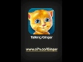 Possibly The Shortest Talking Ginger Video In The