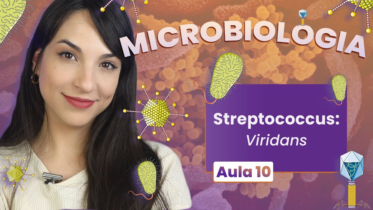STREPTOCOCCUS: Viridans | Videoaula | Microbiologia | Flavonoide #10