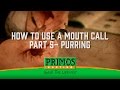 How To Use A Mouth Call Part 5 Purring