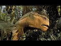 Dinosaur Can Somebody Tell Me Who I Am Orange Blue