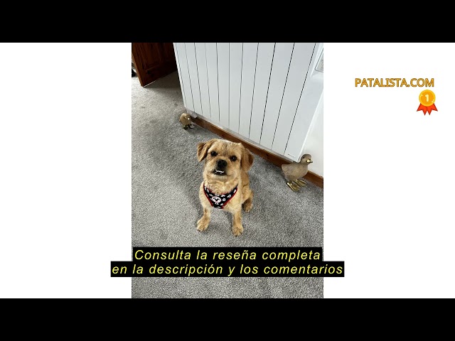 Video relacionado