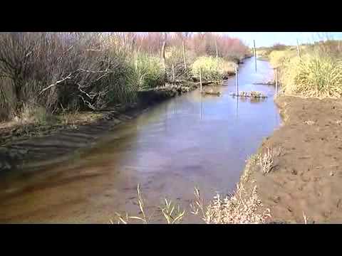 Puesto Eulogio Martinez - 1/5