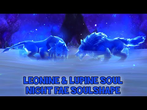 WoW Shadowlands - How To Get The Leonine & Lupine Soul | Night Fae Soulshapes | Ardenweald
