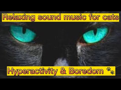 Music for cats - Musica para gatos Hyperactivity & Boredom @Relaxing sound music for cats