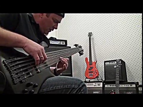 Warwick Custom 12 String Bass Guitar Demo - Andy Irvine (original music)