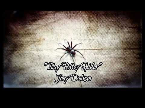Halloween Special!  "Itsy Bitsy Spider" - Joey Deluxe (lyrics)