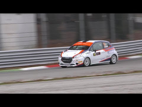 2°Special Rally Circ.Vedovati 2017 Poncetta-Paniga by Ferrario Video