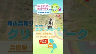 【はりまサタデー９】量も質もアップ！？姫路みなと祭海上花火大会／野山を駆け巡る！バギーアドベンチャー