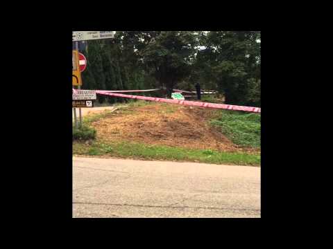 Rally Cittá Di Pistoia 2014