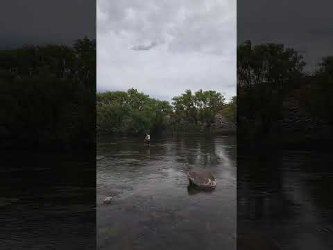Un clasico en Norte Nequino para pescar en las cercanias de Huinganco