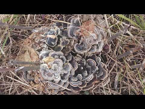 Do Something You Love - The Piano Versions with Visualizer/Album Cover