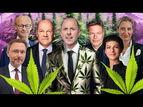 Cannabis Legalisierung: Alles auf Anfang nach der Wahl? | Anwalt Christian Solmecke