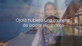 Shakira - Did It Again (Remix) [Traducida] Lyrics - Ft. Kid Cudi