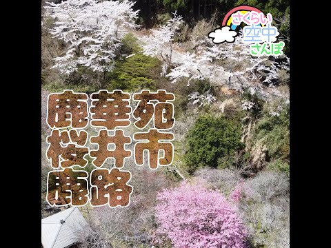 空から見た鹿華苑ろっかえん