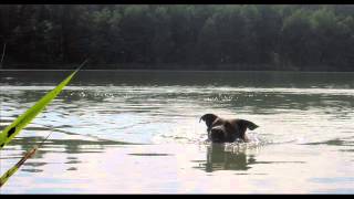 Front 242 - Masterhit  (ebmfb podgórna remix 2003)