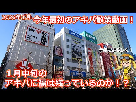 【アキバ散策】１月中旬の秋葉原に福は残っているのか！？ジャンク漁りから初詣までやりたいことは大体楽しめた2026年最初のアキバ散策！【ジャンク】