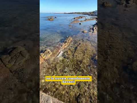 punta vipera Km 66 della via aurelia SS1 Santa Marinella #history #sea #romans #archeology