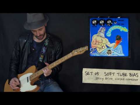 CORNUCOPIA, tube overdrive - TEFI Vintage Lab