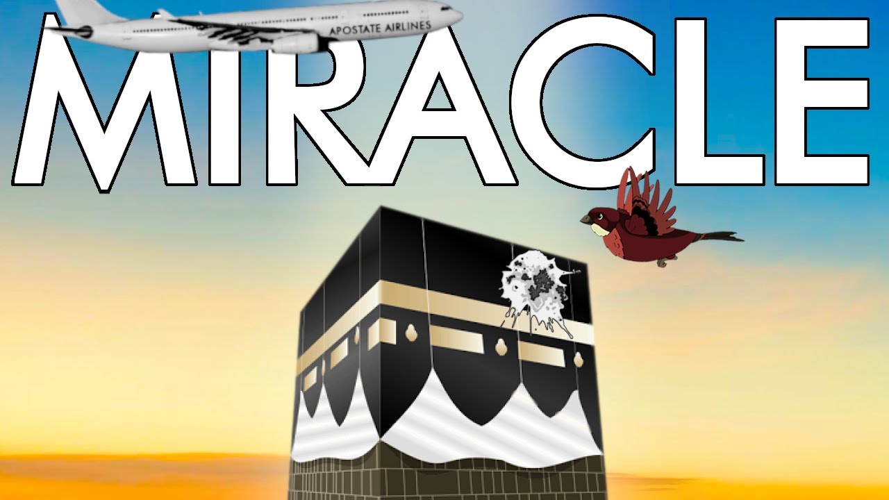 Why Birds Poop On The Kaaba