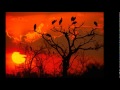 Emily Richards - To Love You 
