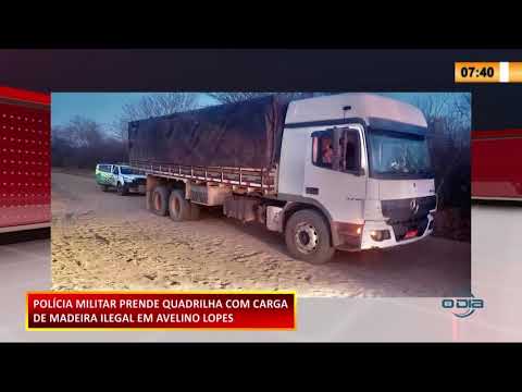 Polícia Militar prende quadrilha com carga de madeira ilegal em Avelino Lopes 05 10 2020
