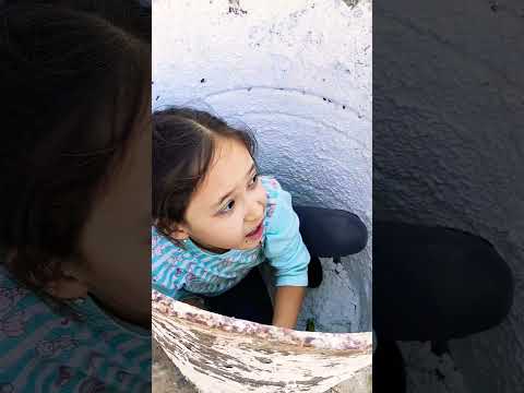 #shorts #mrbeast #funny #cute #baby #baby #2026 #amina #asmr  #art #reels