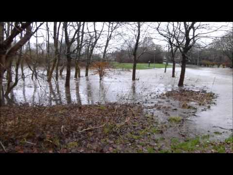 Bus Route in Bourtreehill (Irvine) floods after heavy overnight rain.