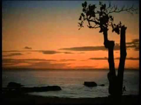 Professor Brian Cox - Poetry