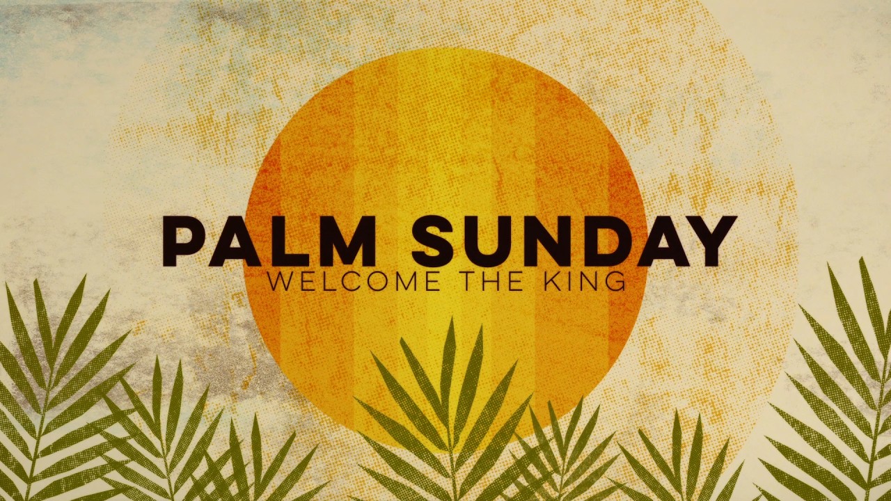 Check Your Expectations: Palm Sunday