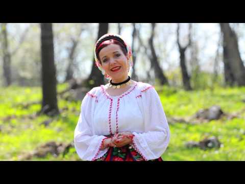 Irina Zoican - Tu esti dragostea mea mare