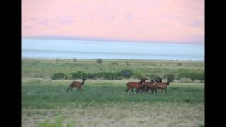 The Pilot Mountain Range Nevada and Utah June 22, 2012