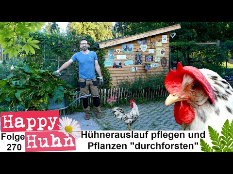, title : 'Hühnerauslauf pflegen! Durchforsten der Bepflanzung / Zäune / Netze - HAPPY HUHN E270 - Hühnergarten'