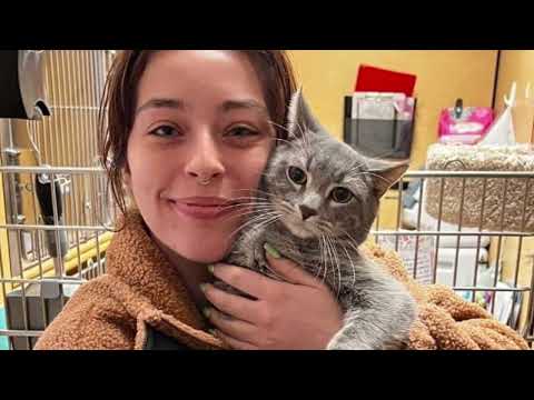 Orientation  Background Video