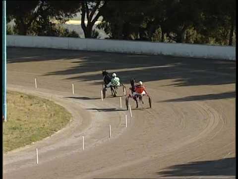 Taranto - Prova di qualifica riservata ai 3 anni