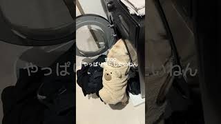 パグの日常Vlog #パグ #犬 #日常vlog #shorts
