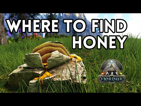 Fjordur Honey