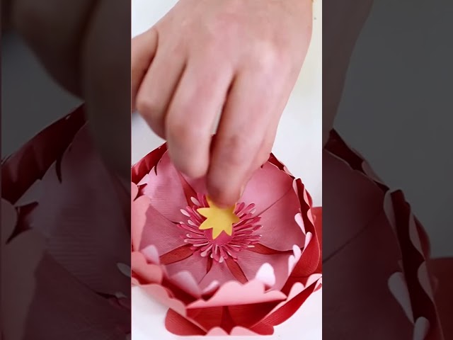 Vídeo relacionado con PRESSINART Kit de Prensado de Flores 2.5 x 3.9 pulgada 4 capas Prensa de Madera Mariposa Tableros de Prensado de Bolsillo Herramientas Kits de Manualidades Primavera Verano Bricolaje Ramo de Hojas