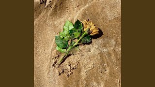 Download lagu Summer Kisses Winter Tears mp3 Download lagu Summer Kisses Winter Tears mp3