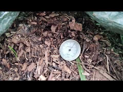 Najszybszy kompost ze zrębki cz.13