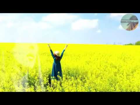 فيروز عالهدا