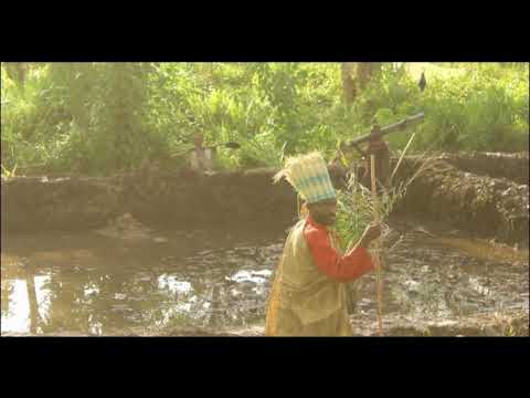 MBUTA NSANA - BALUKA