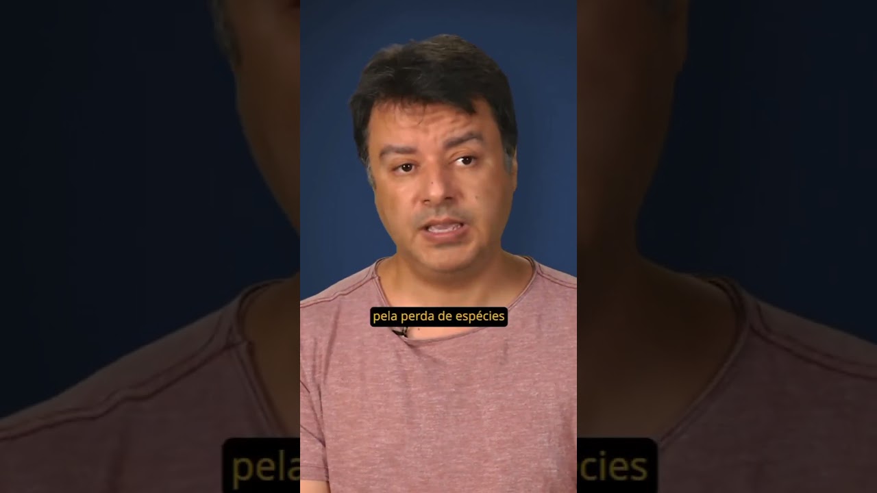 Programa da UFMG monitora incêndios florestais