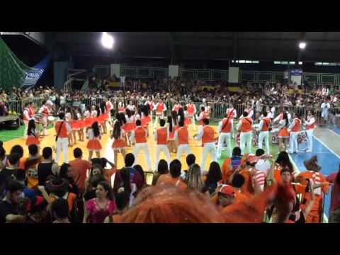 BICUDA INTERMED CO 2015 PALMAS