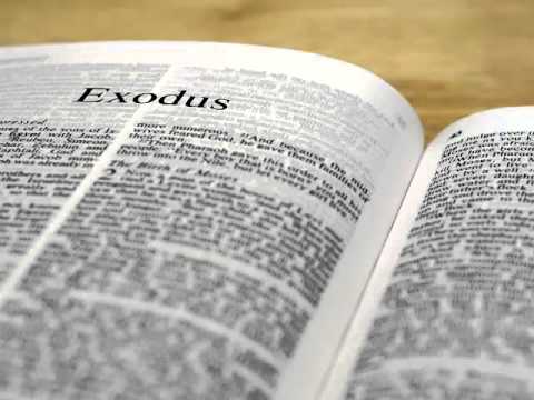 Exodus 17 - New International Version (NIV) Dramatized Audio Bible