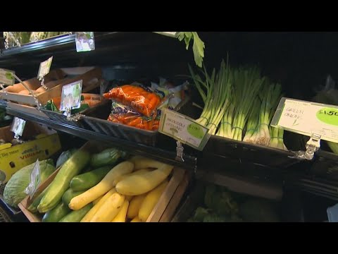 Supreme Court blocks full SNAP benefits: Latest updates