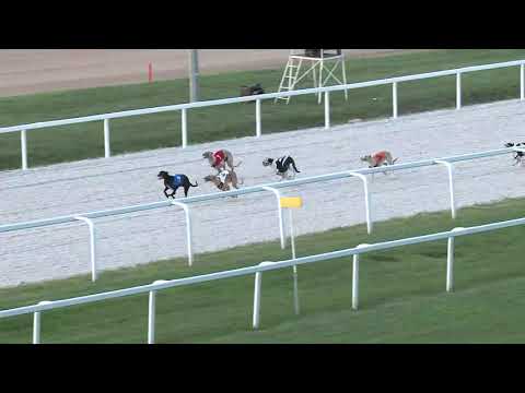 2019.06.28. agár futam