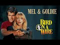 Bird On A Wire 1990