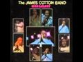 The James Cotton Band I got a feeling.wmv