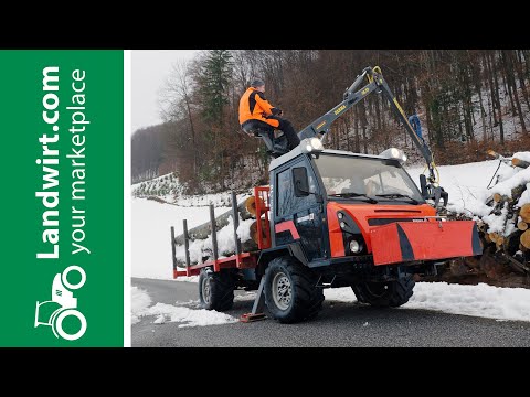 Holzladekran auf Muli gebaut