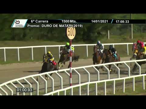 210114 c06 - VIENTO AMIGO - HIPODROMO LAS PIEDRAS